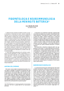 fisiopatologia e neuroimmunologia della meningite