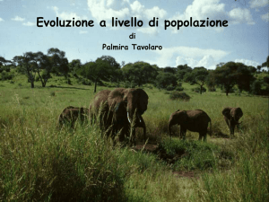 Evoluzione a livello di popolazione
