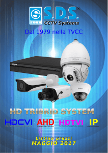 IP - SDS CCTV