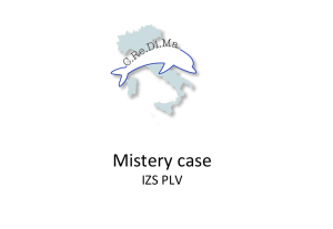 Mistery Case #4