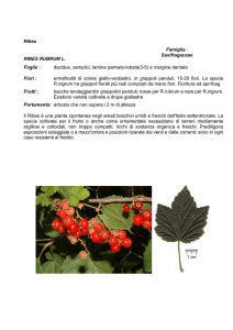 alberi e arbusti - Istituto Serpieri Bologna