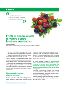 Frutti di bosco, alleati di valore contro lo stress ossidativo