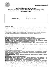 Biochimica - univr dsnm - Università degli Studi di Verona