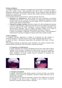 Ginocchio patologie cartilaginee