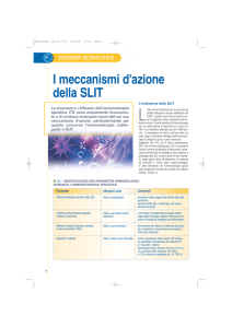 Exp23-pages italien 4-15