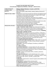 file pdf - medicina Caserta