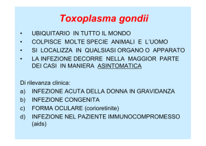 Toxoplasma gondii: Università degli Studi di Perugia
