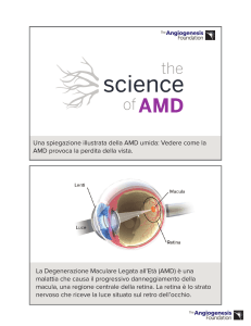Stampare - Science Of AMD