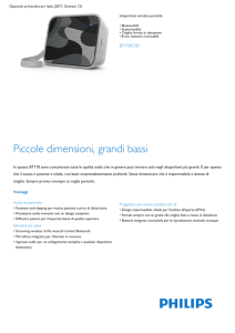 Product Leaflet: Altoparlante wireless portatile