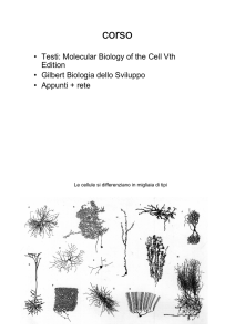 • Testi: Molecular Biology of the Cell Vth Edition • Gilbert Biologia