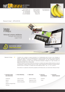 Page 1 net bananaweb solutions and more... via A. Cornaro, 18