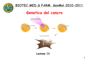 13 BIOTEC GenMol 10_11 cancro II