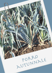 Porro - Veneto Agricoltura