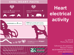 1-heart electrical activity - Progetto e