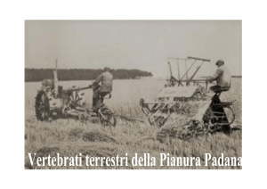 Vertebrati terrestri della Pianura Padana