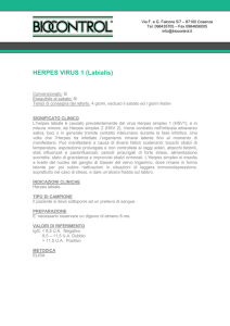 HERPES VIRUS 1(labialis)