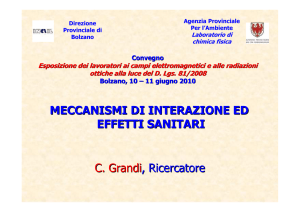 MECCANISMI DI INTERAZIONE ED EFFETTI SANITARI C. Grandi
