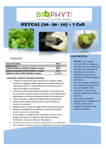 OXYCAL - Biophyt agro