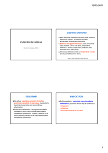 Alcuni slides su endocitosi ed esocitosi mostrati lezione