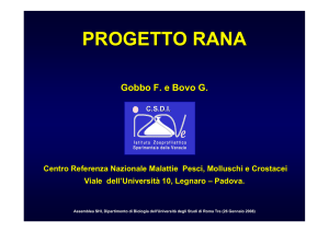 progetto rana - Università di Pavia