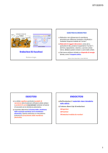 Diapositive su endocitosi ed esocitosi