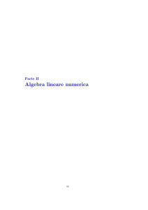 Algebra lineare numerica