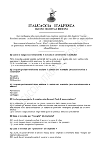 italcaccia - italpesca