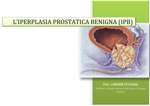 l`iperplasia prostatica benigna (ipb)