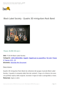 Black Label Society - Quadro 3D miniguitars Rock Band