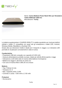 Carica Batterie Power Bank Slim per Smartphone Tablet 5000mAh