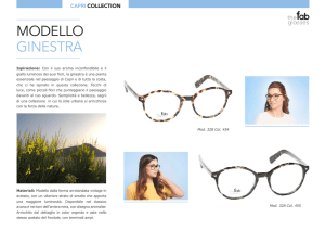 MODELLO GINESTRA - The Fab Glasses