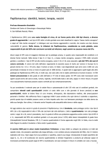 Full text dell`abstract