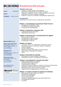 Microsoft Excel 2010 Avanzato