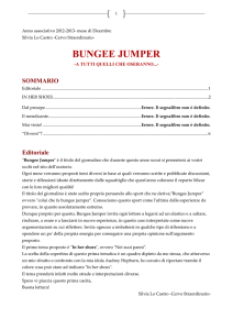 bungee jumper - Oratorio don Bosco