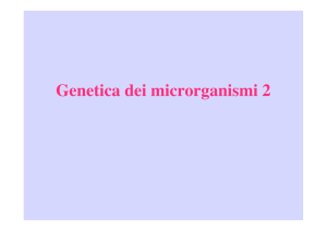 Genetica dei microrganismi 2