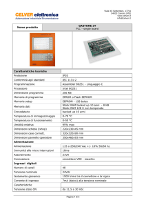 Nome prodotto GASTONE 3T PLC - single board Caratteristiche