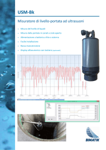 USM-Bk ultrasonic level flow meter