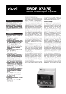 EWDR 973(/S) - Delco Controls AG