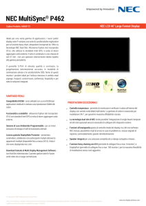 NEC_Datasheet_P462-italian italiano – PDF