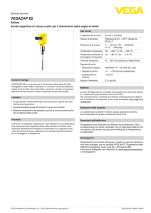 Data sheet - VEGACAP 62 - Bifilare Sonda capacitiva di misura a