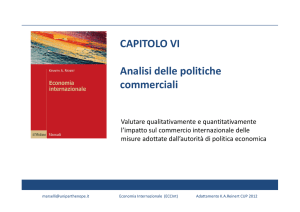 CAPITOLO VI Analisi delle politiche commerciali