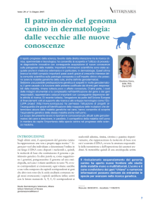 Il patrimonio del genoma canino in dermatologia: dalle vecchie alle