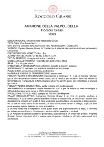 AMARONE DELLA VALPOLICELLA Roccolo Grassi 2009