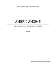 AMBRIC AM2045