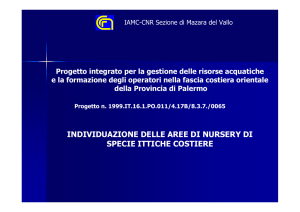 Diapositiva 1 - Provincia Palermo