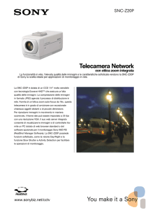 Telecamera Network