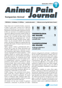 1 animal pain journal - Ambulatorio Veterinario Arrighi Colangeli