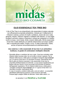 olio essenziale tea tree bio