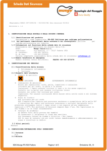 PS_500 Pulitore schiuma poliuretanica 06_12 MSDS