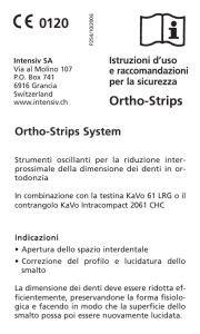 Intensiv Ortho-Strips IT P254